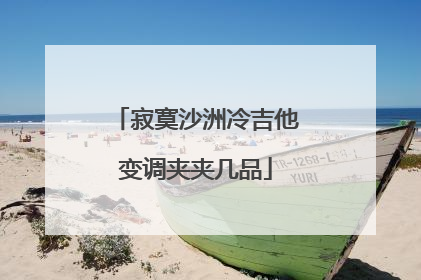 寂寞沙洲冷吉他变调夹夹几品