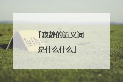 寂静的近义词是什么什么