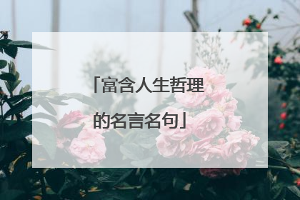 富含人生哲理的名言名句