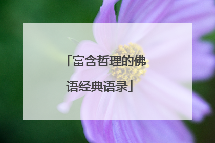 富含哲理的佛语经典语录