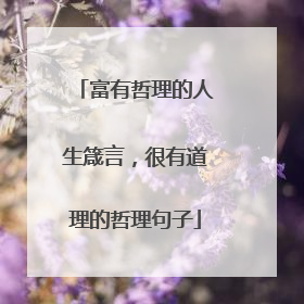 富有哲理的人生箴言，很有道理的哲理句子