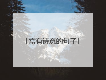 富有诗意的句子