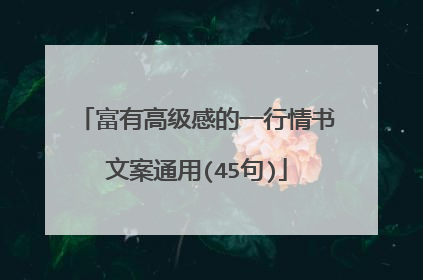 富有高级感的一行情书文案通用(45句)
