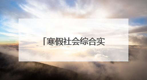 寒假社会综合实践活动作文800字,初一学生