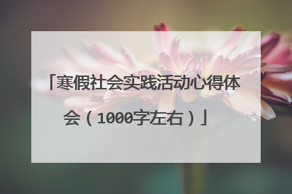 寒假社会实践活动心得体会(1000字左右)