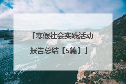 寒假社会实践活动报告总结【5篇】