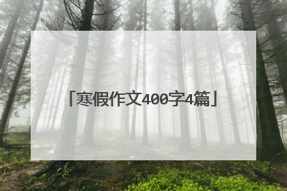 寒假作文400字4篇