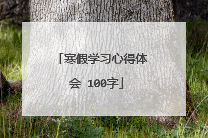 寒假学习心得体会 100字