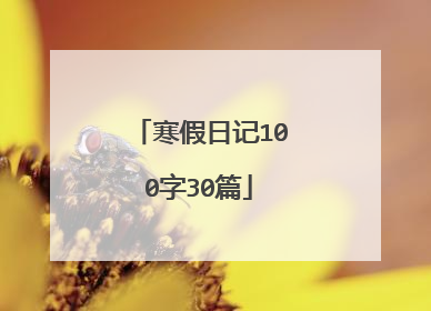 寒假日记100字30篇