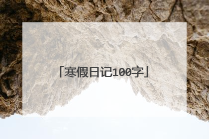 寒假日记100字