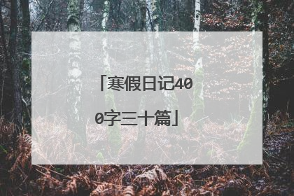 寒假日记400字三十篇
