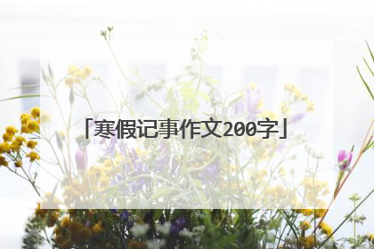 寒假记事作文200字