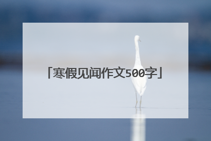 寒假见闻作文500字
