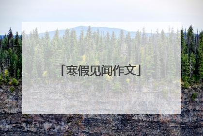 寒假见闻作文