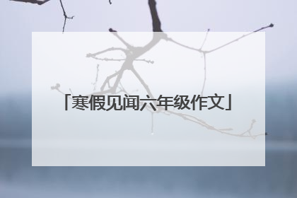 寒假见闻六年级作文