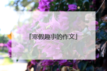 寒假趣事的作文