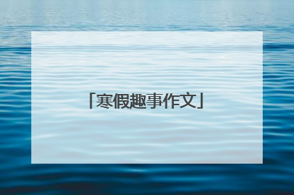 寒假趣事作文