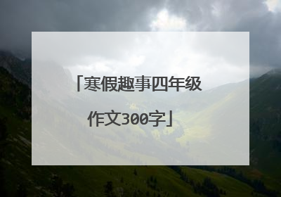 寒假趣事四年级作文300字