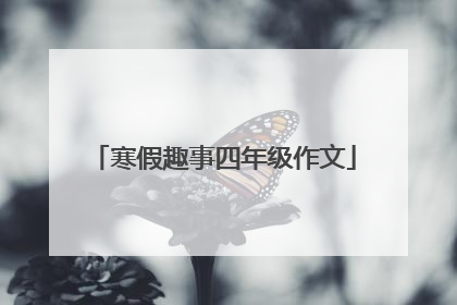 寒假趣事四年级作文
