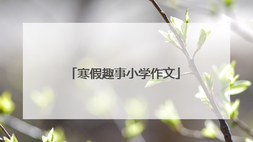 寒假趣事小学作文
