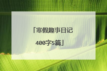 寒假趣事日记400字5篇