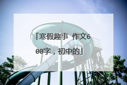 寒假趣事 作文600字,初中的
