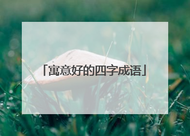 寓意好的四字成语