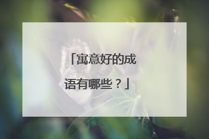 寓意好的成语有哪些?