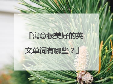 寓意很美好的英文单词有哪些?