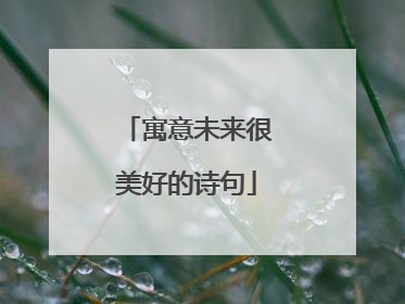 寓意未来很美好的诗句