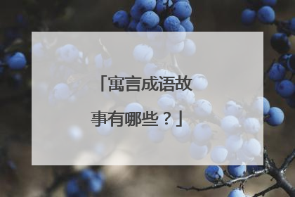 寓言成语故事有哪些？