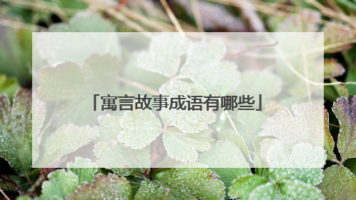 寓言故事成语有哪些