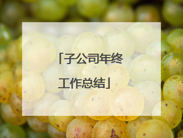 子公司年终工作总结