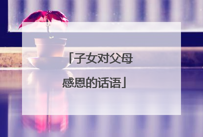 子女对父母感恩的话语