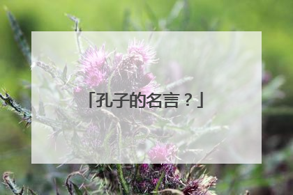 孔子的名言？