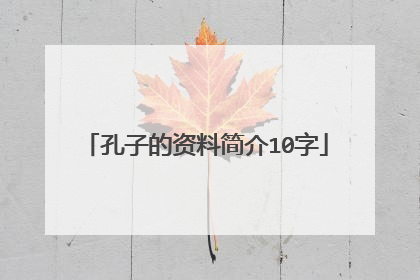 孔子的资料简介10字