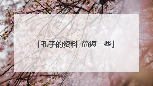 孔子的资料 简短一些