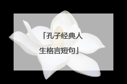 孔子经典人生格言短句