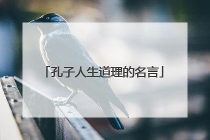 孔子人生道理的名言