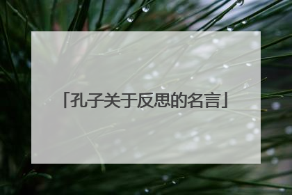 孔子关于反思的名言