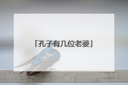 孔子有几位老婆