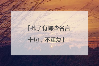 孔子有哪些名言十句，不重复