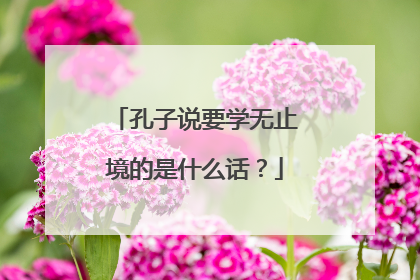 孔子说要学无止境的是什么话?