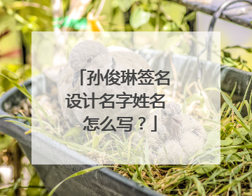 孙俊琳签名设计名字姓名 怎么写？