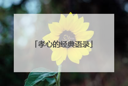 孝心的经典语录