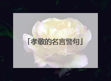 孝敬的名言警句