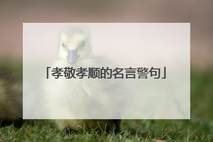 孝敬孝顺的名言警句