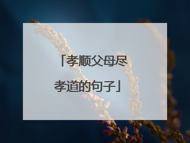 孝顺父母尽孝道的句子