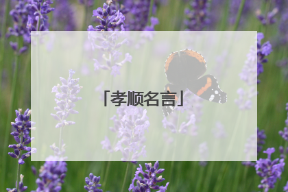 孝顺名言
