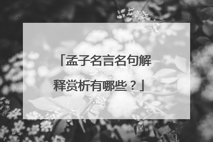 孟子名言名句解释赏析有哪些？